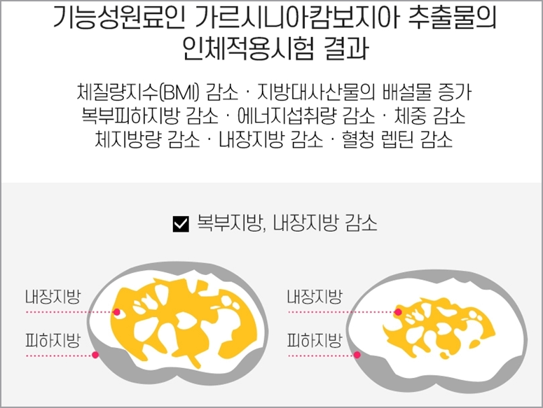 내장지방 감소효과 자료