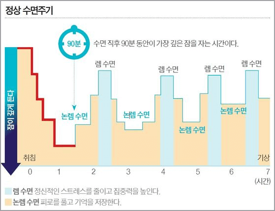 정상수면주기 표